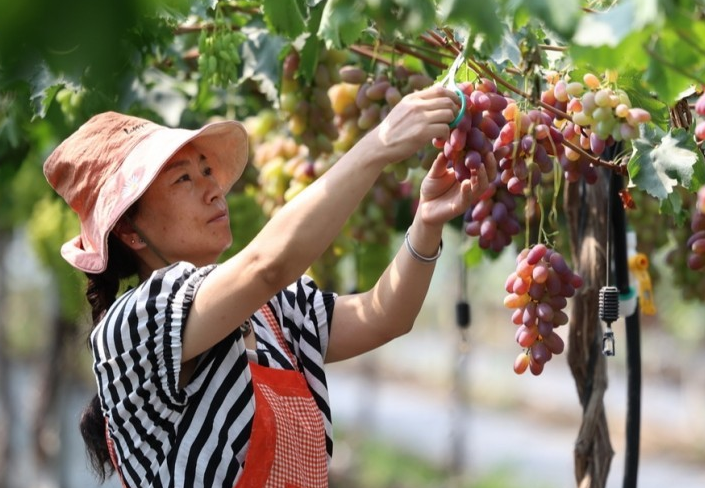 QQ20240923-165339.jpg